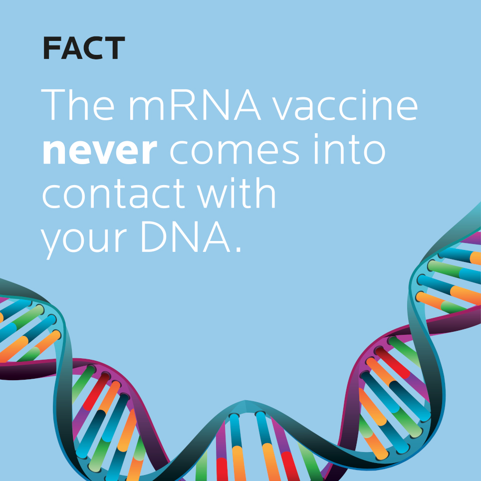 Fact: The mRNA vaccine never comes into contact with your DNA.