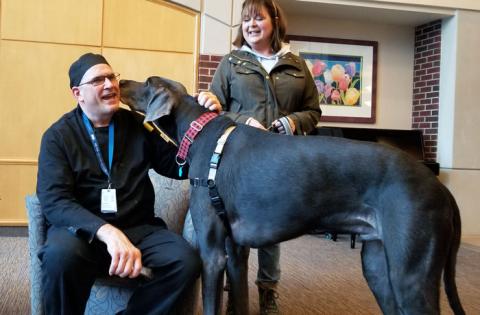 Pet Therapy Barks Up the Right Tree